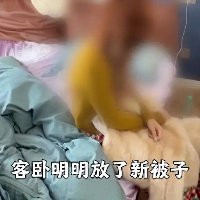 抓奸_网红阿桃出轨事件_十年婚姻捉奸视频