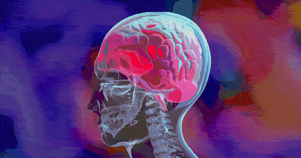 出轨_科学解释人为什么会出轨_什么是出轨的界限